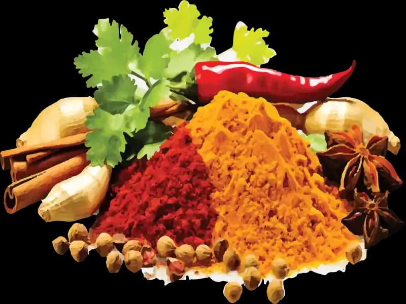 Falaq Food Special Masala: Farm-Fresh Quality